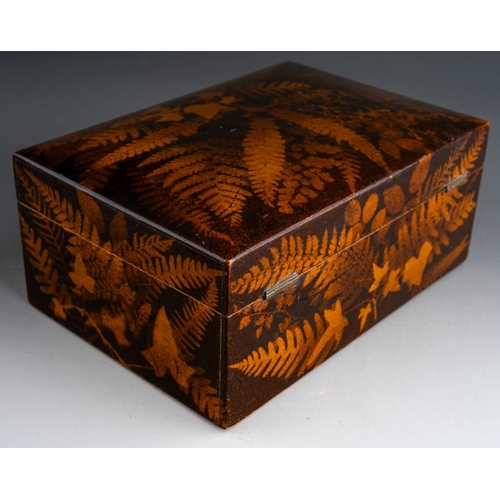 241 - A 19th Century Fernware Box, silk lined interior, approx 20.5cm wide x 14cm deep x 8.5cm high