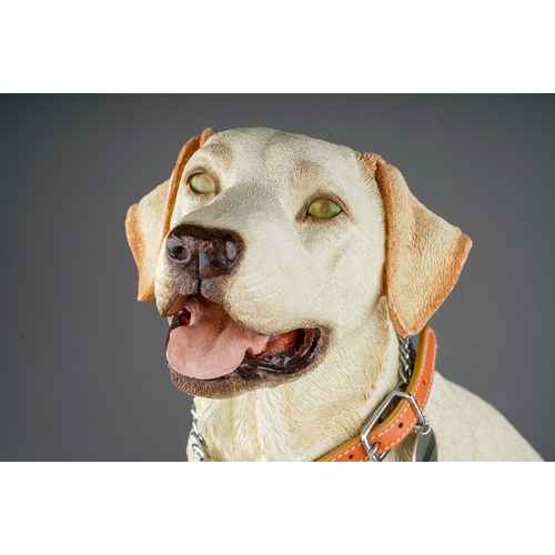 351 - A Country Artist's large model of Golden Labrador 02037 