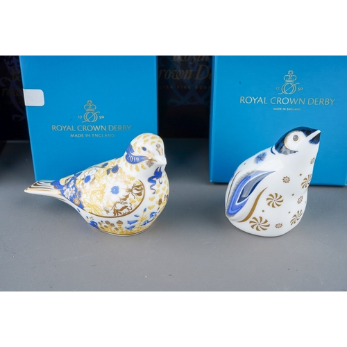 427 - Royal Crown Derby - 62332 Snowflake penguin, 60102 Coal Tit, 07485 Nuthatch, Viola Vase, Sleeping Do... 