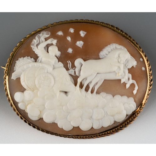 675 - A large shell cameo brooch. The oval shell cameo within a rope twist border, stamped 9ct, diameter o... 