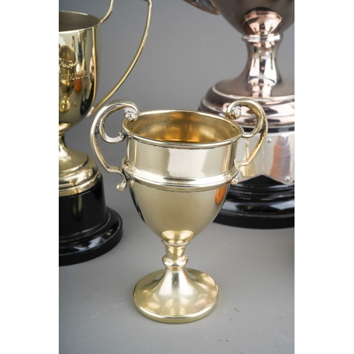 895 - A collection of 1950s silver plated Gymkhana trophies, various sizes, three with inscriptions - Meyn... 