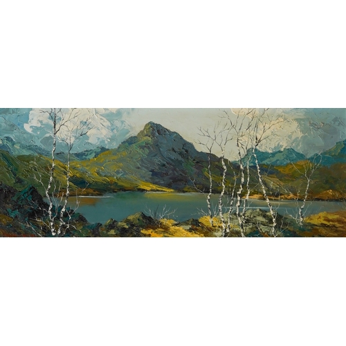 923 - Charles Wyatt Warren  (1908-1993) 'Moel Hebog from Llyn  Y Gader', oil on board, signed lower left, ... 