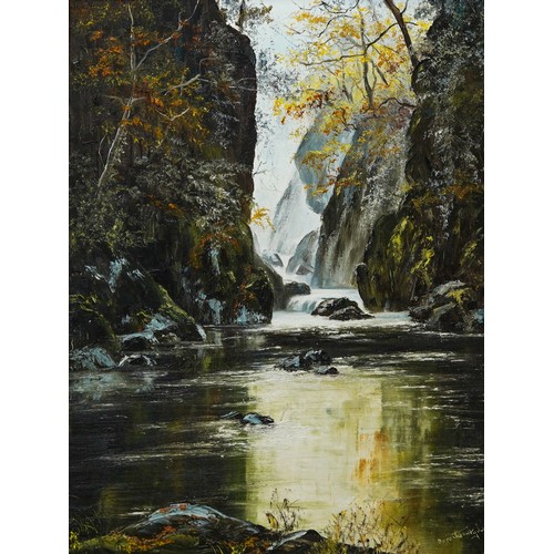 930 - Dorothea Hyde (b.1942)
Fairy Glen
oil on canvas, 60 x 45cm
signed lower right, framed