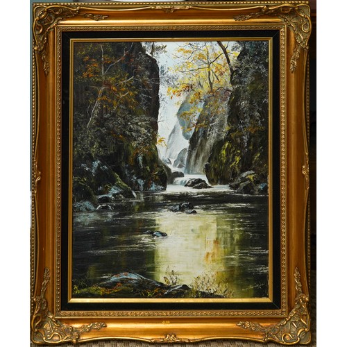 930 - Dorothea Hyde (b.1942)
Fairy Glen
oil on canvas, 60 x 45cm
signed lower right, framed