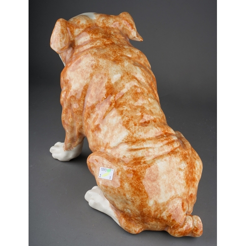 981 - A Winstanley model of a seated Bulldog, bears painted marks to base, height 28cm