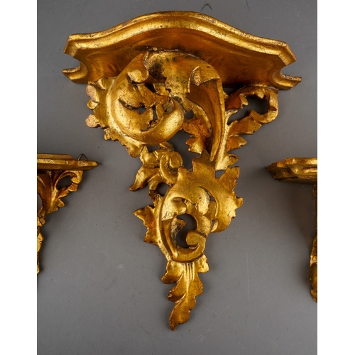 985 - Three early 20th century Italian giltwood and gesso wall brackets, all of foliate design, height of ... 