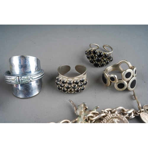 1002 - Collection of silver  and costume jewellery to include rings and silver charm bracelet (56.7)