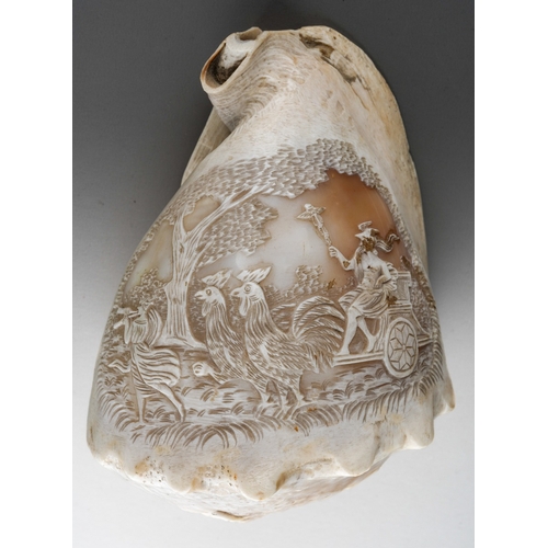 183 - A late 19th century cameo conch shell, carved with a scene of a classical figure in a chariot pulled... 