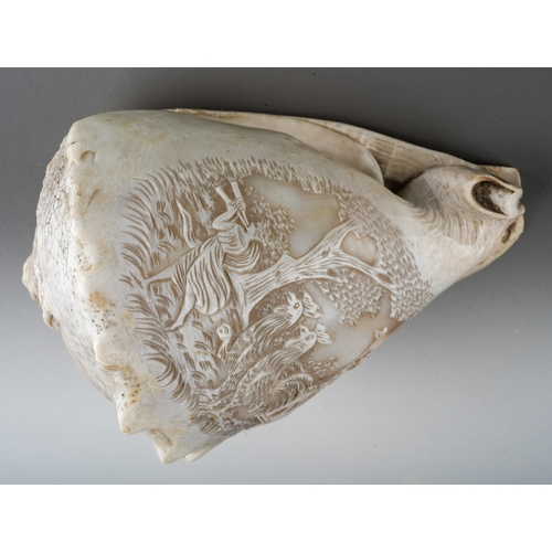 183 - A late 19th century cameo conch shell, carved with a scene of a classical figure in a chariot pulled... 