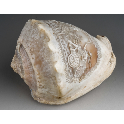 183 - A late 19th century cameo conch shell, carved with a scene of a classical figure in a chariot pulled... 