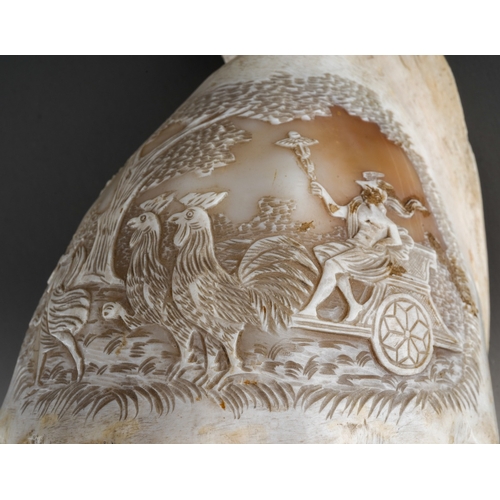 183 - A late 19th century cameo conch shell, carved with a scene of a classical figure in a chariot pulled... 