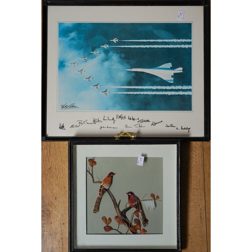 222 - Aviation Interest - Concorde and the Red Arrows flying in formation, with signatures in black ink (u... 