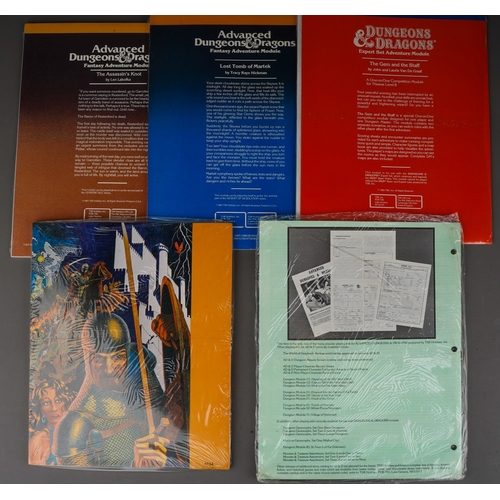 301 - Dungeons & Dragons - Mapping Sheets, Advanced Permanent Character Folder & Adventure Records, I5 Adv... 