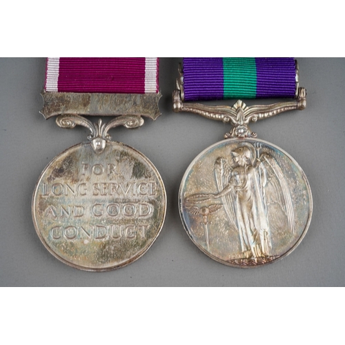 490 - A Palestine and LSGC pair to Warrant Officer Class 1 Sherman RE
General Service Medal 1918-62, one b... 