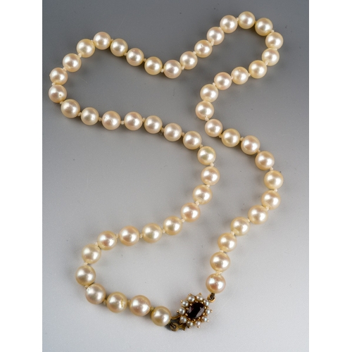 678 - A set of even sized pearl necklace set with 9 ct gold seed pearl and garnet clasp. length folded 23 ... 