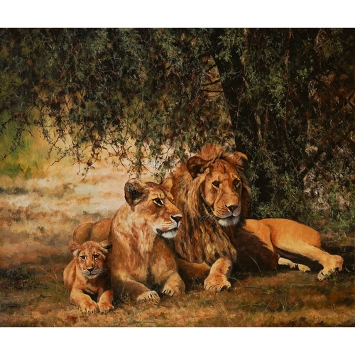 976 - Stephen Park (British, b. 1953)
Lion family shading with a cub
oil on canvas, 49.65 x 60cm
signed lo... 