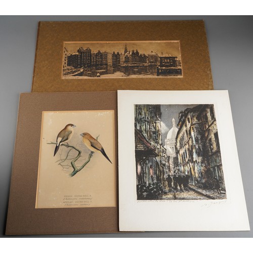 993 - Three assorted 19th and 20th century prints, including a hand coloured study of Silver-Bill birds an... 