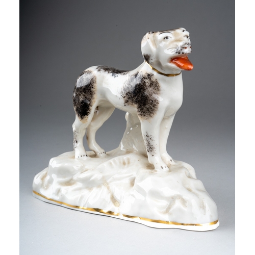 229 - Two 19th century porcelain figures of dogs, one modelled as a recumbent Cavalier spaniel on a shaped... 