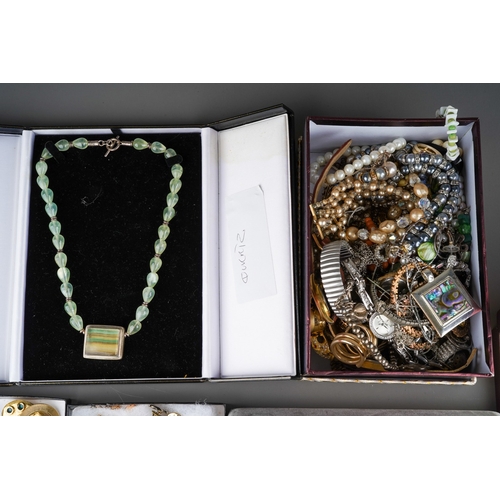 325 - Large collection of costume jewellery to include brooches, boxed silver necklace, Christine Savage n... 