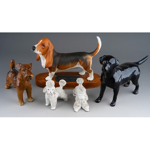 892 - A Beswick Connoisseur model of a Basset Hound, mounted together with a Beswick style Irish Terrier, ... 