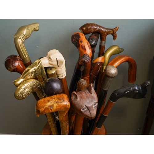 414 - Collection of Walking sticks in a stand to include a silver topped ones, brass, horn  and carved woo... 