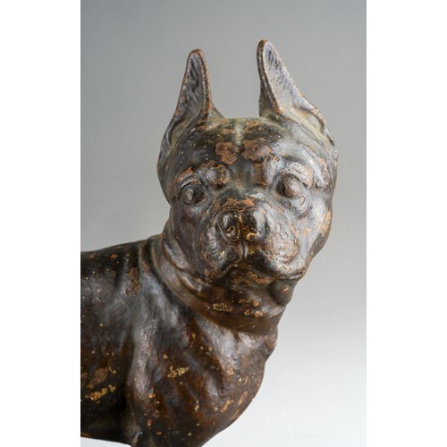 288 - A cast iron figure of a Boston Terrier, possibly by Hubley of Lancaster, Pennsylvania, USA, painted ... 