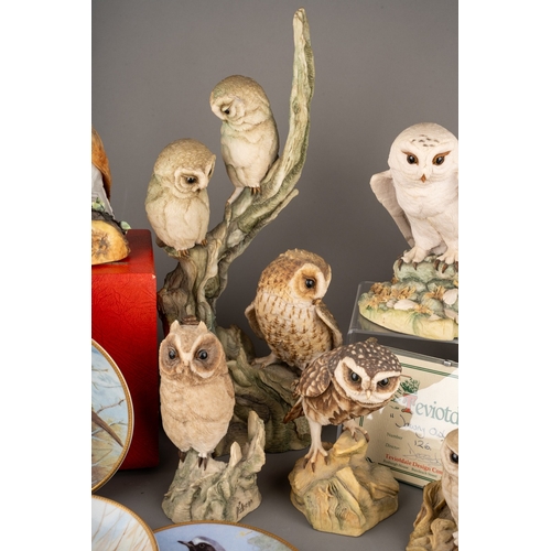 18 - A Royal Crown Derby Barn Owl, boxed together with a collection of Seven Scottish Teviotdale Owls and... 