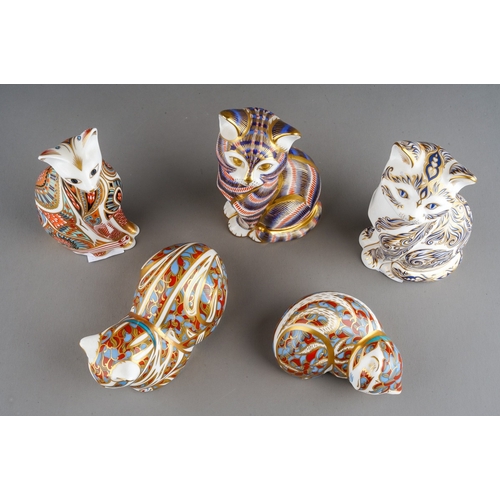 43 - Five Royal Crown Derby paperweights in the form of cats and a kitten, comprising Siamese Cat, limite... 