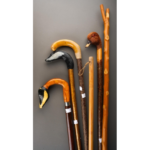 1035 - A collection of walking sticks to include: 
1. carved Duck head, textured and painted with glass eye... 