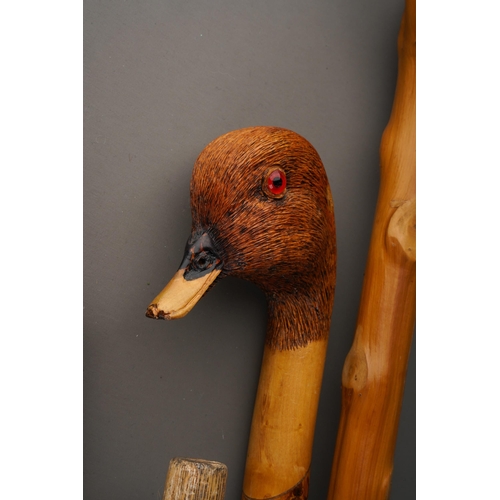 1035 - A collection of walking sticks to include: 
1. carved Duck head, textured and painted with glass eye... 