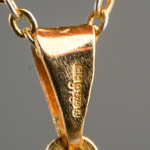 93 - A half sovereign coin pendant. The half sovereign coin dated 1894, within a 9ct gold pendant mount, ... 