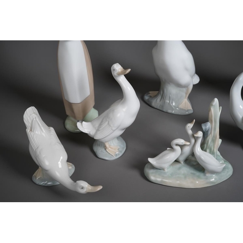 77 - Eight Nao figures of ducks and geese, including with a girl holding a duck, various sizes, height of... 
