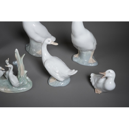 77 - Eight Nao figures of ducks and geese, including with a girl holding a duck, various sizes, height of... 