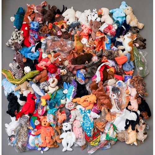 433 - An extensive collection of TY The Beanie Babies Collection, all animals, most with Tags, approx 100+... 