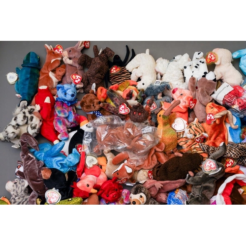 433 - An extensive collection of TY The Beanie Babies Collection, all animals, most with Tags, approx 100+... 