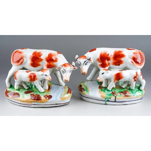 252 - A pair of Staffordshire type models, each with a red and white Cows with her calf, unmarked [2]