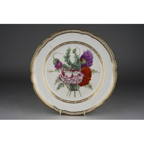 268 - A 19th century Spode botanical study plate, wavy gilt rim, hand painted to the centre with Poppies, ... 