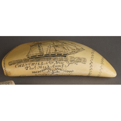 62 - Faux Scrimshaw to include: Whale tooth Tamaahmaah Chincilla; Whale bone 