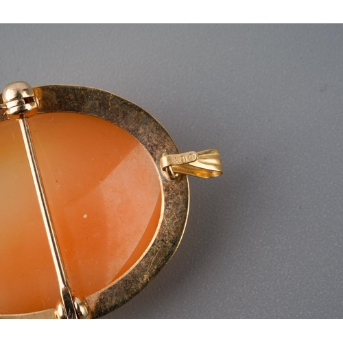 286 - A malachite pendant and a 9ct gold shell camepo brooch. Pendant with foreign marks to surmount, came... 