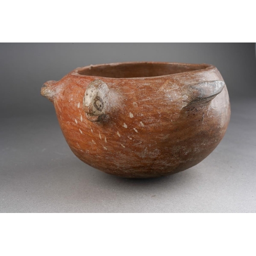 143 - Provenance: Purchased in Lima Peru and the surrounding areas during 1959-1960 by two marine biologis... 