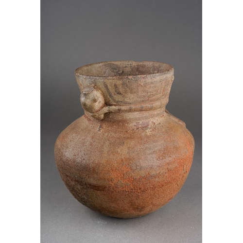 174 - Provenance: Purchased in Lima Peru and the surrounding areas during 1959-1960 by two marine biologis... 