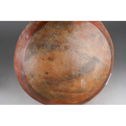 192 - Provenance: Purchased in Lima Peru and the surrounding areas during 1959-1960 by two marine biologis... 