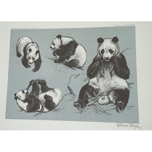 391 - 3 William Timyn (Austrian, 1903-1990) Limited edition World Wild LIfe Fund prints published by Godol... 