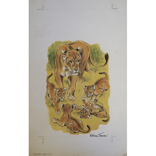 394 - William Timyn (Austrian, 1903-1990). An original study for a book illustration, titled Lioness and C... 