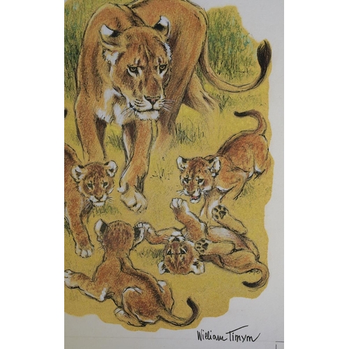 394 - William Timyn (Austrian, 1903-1990). An original study for a book illustration, titled Lioness and C... 