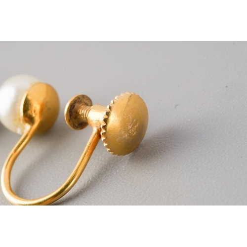 536 - A chain and pair of cultured pearl earrings. To include a flat curb link chain, together with a pair... 