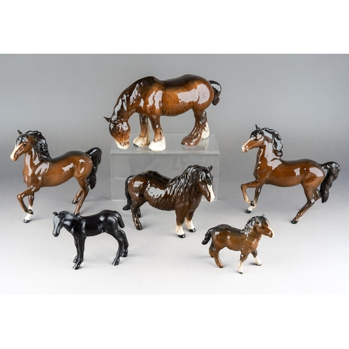 Lot 262       