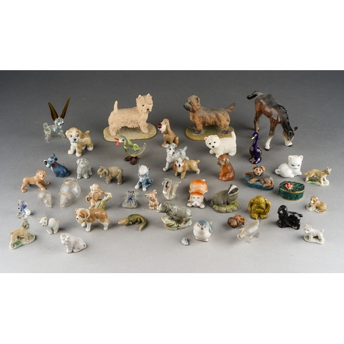 Lot 20        