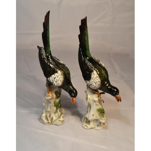 409 - A pair of Capodimonte figures of black birds c.1900