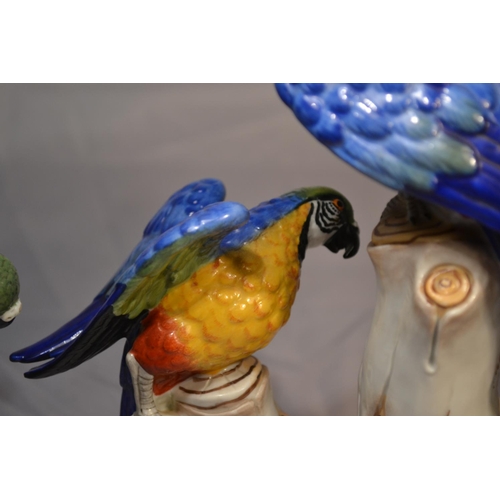 411 - A trio of Capodimonte Macaw parrots c.1900 - the largest approx 8